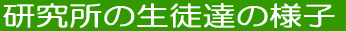 ��N�x�̐��k�B�l�q